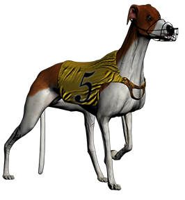 Greyhounds and handlers modelled, UV'd Textured and Animated for Unity game