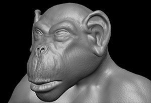 3D Model - ZBrush